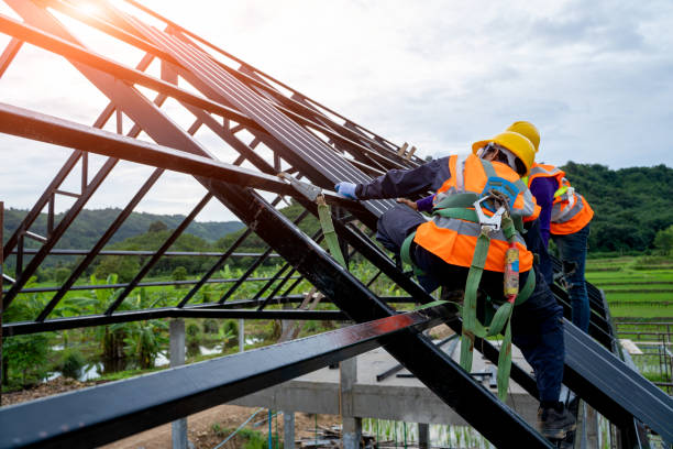 Best Roof Maintenance Services  in Scissors, TX
