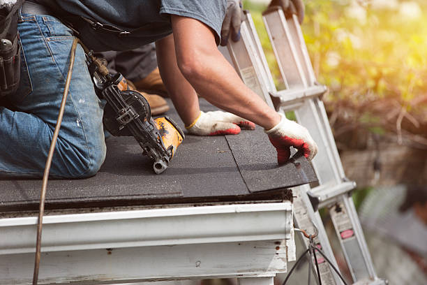 Best Roof Gutter Cleaning  in Scissors, TX